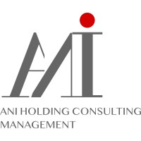 ANI HOLDING CONSULTING MANAGEMENT logo - Similar company to Performa Consulting