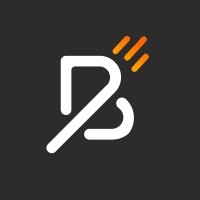 BrightStart Media USA logo - Similar company to Pulse Digital Media