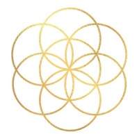 Dynamic Wellness Collaborative logo - Similar company to Us Signcrafters