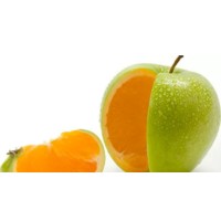 Brouwer & Partners Business Consultants