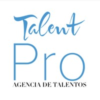 TalentPRO logo - Similar company to Digiteam Oy