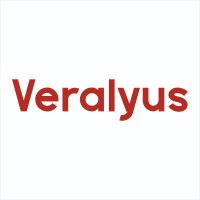 Veralyus Bilgi Teknolojileri logo - Similar company to Cityinovy