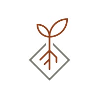 Roots Transition
