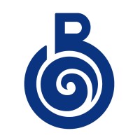 Birthmark Brahma logo - Similar company to Aj Academy