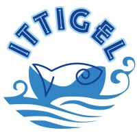 Ittigel S.r.l. logo - Similar company to Distretto Della Pesca E Crescita Blu