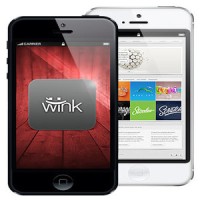 The Wink Initiative Inc logo - Similar company to Superhuman Intelligence