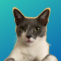 El Gato de Guille logo - Similar company to Anónimos