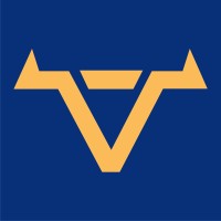 Torro Stream logo - Similar company to Neuron Stream