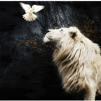 Synchronicities Light Energy Gift Emporium & Salt Cave logo - Similar company to Be Happy Yoga & Salt Cave