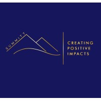 Summitt logo - Similar company to Summitt Labs