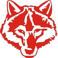 Vermessungsbüro Wolfert logo - Similar company to Geomapping Srl