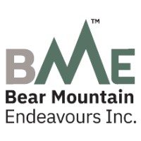 Bear Mountain Endeavours Inc logo - Similar company to Splendin Software Private Limited