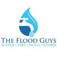 The Flood Guys: Water, Fire, Mold & Storm Damage Mitigation & Restoration Services logo - Similar company to Recapturit