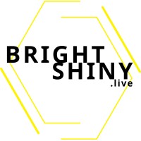 BrightandShiny.Live logo - Similar company to Marconx