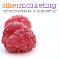 sikermarketing.hu - web design, SEO, content marketing logo - Similar company to Seo Tech Kft