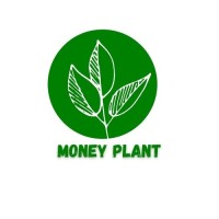 Money Plant logo - Similar company to Ecosoft Technologies Pvt. Ltd.