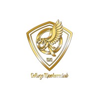 College Mastermind logo - Similar company to College Mastermind