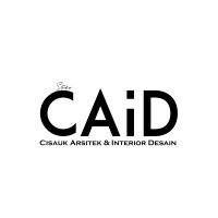 Studio CAiD logo - Similar company to Loopit Animation