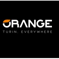 Orange Torino s.r.l. logo - Similar company to Giverlux Group