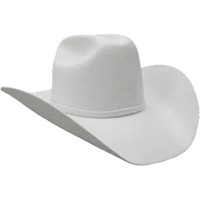 Rodeo