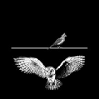Owl + Lark logo - Similar company to Humans At Work