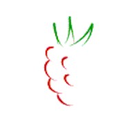 Raspberry Software Systems Limited logo - Similar company to Trackasset