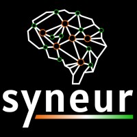 Syneur Technologies Pvt. Ltd. logo - Similar company to Comonk Technology
