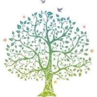 Trew Fundraising Ltd