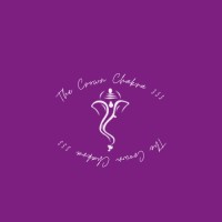 The Crown Chakra 333 logo - Similar company to Ternity Group Pty Ltd