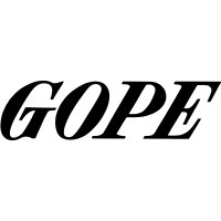 Gope Instrumentos Musicais logo - Similar company to Blusky | Aircraft Sales & Acquisitions