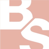 BSurface logo - Similar company to Ecs Lambert