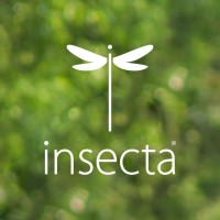 Insecta