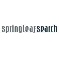 Spring Leaf Search logo - Similar company to Dgx Search