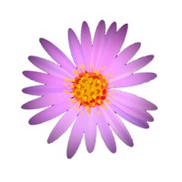 ariska logo - Similar company to Ariksa