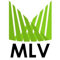 MLV Representações logo - Similar company to Florida Soundproofing