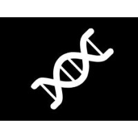 Evolved Agents logo - Similar company to Go2Va