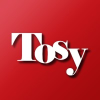 Tosy Factory logo - Similar company to Wevyin