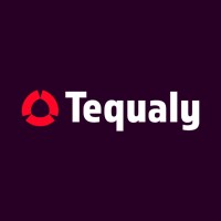 Tequaly logo - Similar company to DLean Solutions