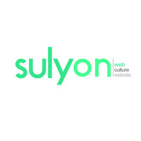 sulyon logo - Similar company to Kurd-Sky Ict Service