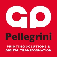 Pellegrini Spa logo - Similar company to Intesys Networking
