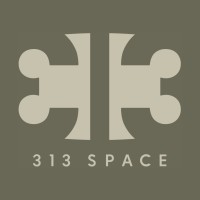 313 Space logo - Similar company to Carneyco
