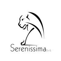 Serenissima Srl Unipersonale logo - Similar company to Kalybro Srl
