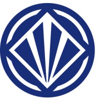 Sichuan StrionLaser Technology Co.,Ltd. logo - Similar company to Delekit