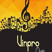 Vinpro Music Producions logo - Similar company to Beyondbooks