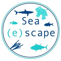 Sea(e)scape logo - Similar company to Blue Observer