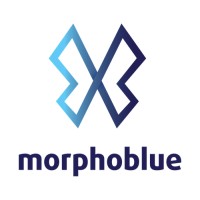 Morphoblue - Recherche Qualitative Internationale logo - Similar company to Explord