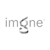 Imagine Intelligent Materials logo - Similar company to Stretchsense