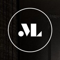 Maxlight logo - Similar company to Nss - Network Security Solutions Llc