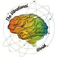 The Vibrational World logo - Similar company to Digipass-Csa