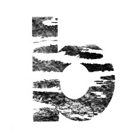 Birches Brand logo - Similar company to Breelove.Ca